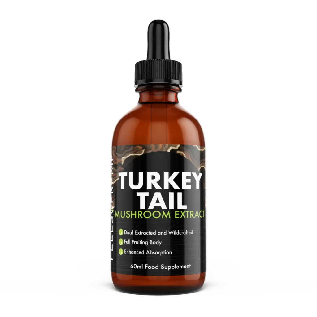 Turkey Tail Mushroom Extract Benefits