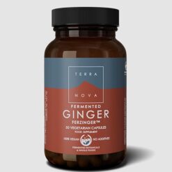 Terra Nova Fermented Ginger