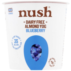 Vegan Almond Yoghurt with Blueberries