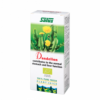 Dandelion Juice Organic for Stomach and Liver Health