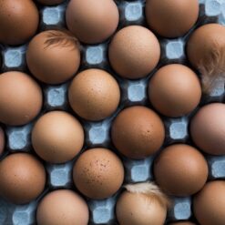 Demeter Organic Eggs