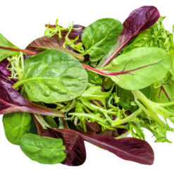 mixed leaves salad (organic)