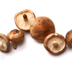 Organic Shiitake Mushrooms
