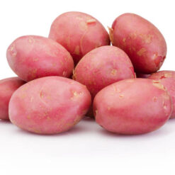 Potato Red