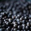 Frozen Acai Pulp Bulk