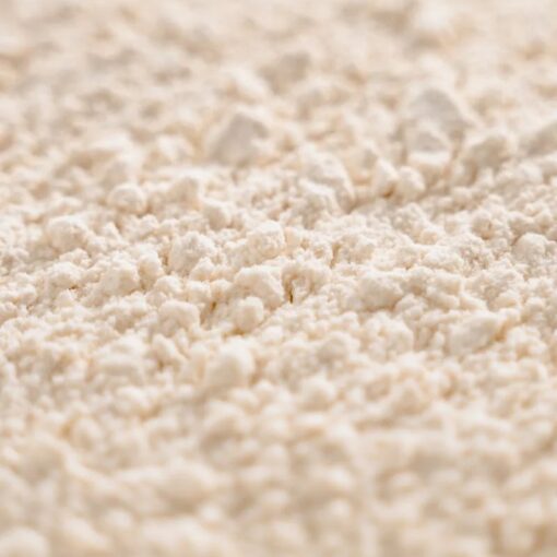 Rice Protein Powder Bulk