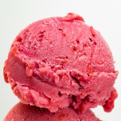 Acai Sorbet 3.6L