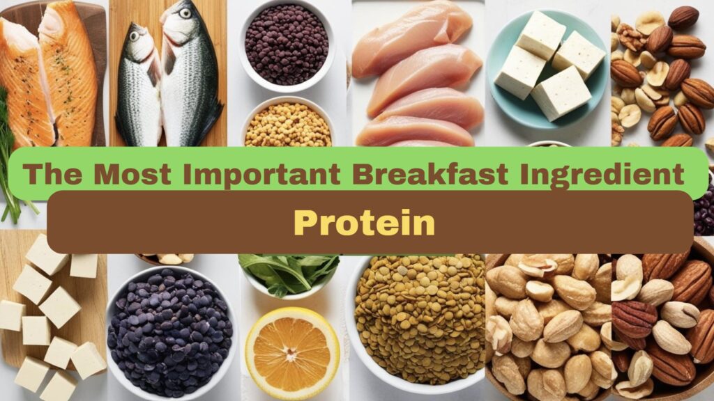 Protein Source blog Cover