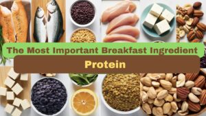 Protein Source blog Cover