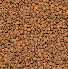Brown Lentils 5k Bulk